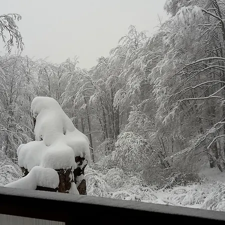 Chalet Weinkeller Petroşani